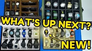 ⌚️ 2025 Collection Updates, 90's Watch Unboxed & More! 📦🤩