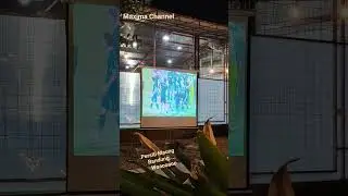 Persib VS Bali United #maximachannel #shortsvideo #videoyoutube #sepakbolaindonesia #soccershorts