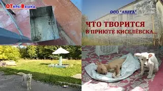 ООО 