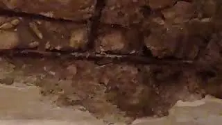 СОСЕДИ ЗАРЯЖЕННЫЕ ПИДОРАСЫ СВЕРХУ У НАС.