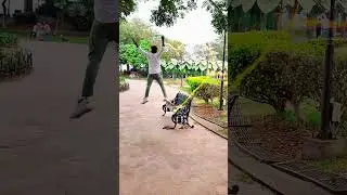 🤍🕊#trending #love #share #status #like #youtubeshorts #ytshorts #subscribe #viral #viwes #trending