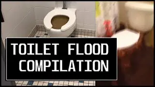TOILET FLOOD COMPILATION