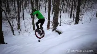 finnspin_unicycles  