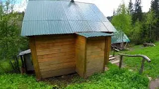 12 июня 2020 г.