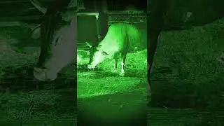 The horror bhoot scene #shorts #ytshorts #youtubeshorts #ghost #bhoot #horrormovie #aahat #scary