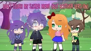 Don't touch my sister meme ( but brother version)