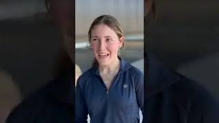 Equine Academy