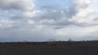 D210 parachute landing