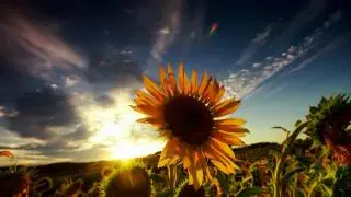 Sky Motion - Thought Chain (Original Mix)