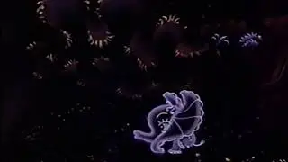 Fantik - Fantik runs for water