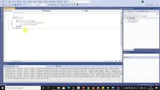 How To Launch, Write And Run A Program In Vb19