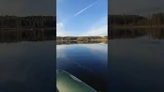 тишина ,только птички поют