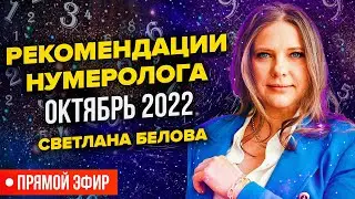 Как найти в себе дополнительный ресурс по дате рождения | Что поможет справиться со стрессом?