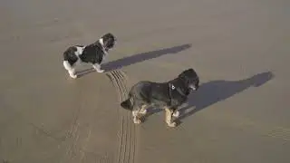 A Beach walk