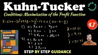 Kuhn-Tucker Conditions with Single Inequality Constraint: Maximization of the Profit Function