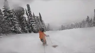 The FnA at Jackson Hole Pt 2 | February, 2024