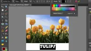 How to Increase Canvas Size and Add Text in Photoshop Elkements