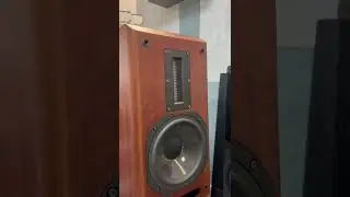 Полочная акустика Aurum Cantus Melody M-103S в шпоне rosewood 🔥