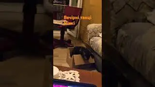 Вечірні танці