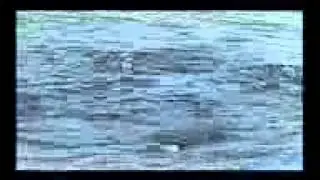 Приманка для ловли окуня