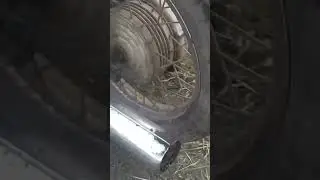 вот как должен работать иж))))