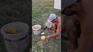 как проходит моё утро кормление бычка