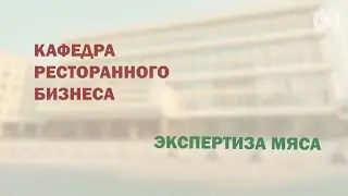 Учебное видео. Лаб. работа 