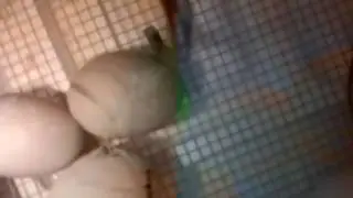 Live video