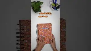 The Positivity Planner 2