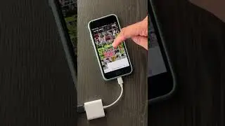 Check out this photo organizing gadget 😮 Link in description! 