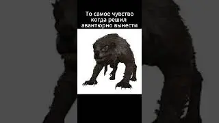 Stalcraft вынос #stalcraft #stalcraftобзор
