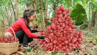 Harvesting SALAK & Go to Market Sell | Living off grid in forest | Emma Daily Life