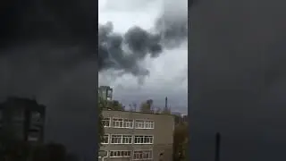 Все як вони звикли... Березки, баян, палає... І руская рєчь...