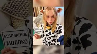 Can your cat do this?!