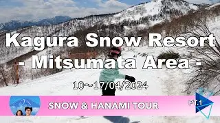 Kagura Snow Resort - Mitsumata Area - : Snow & Hanami Tour Pt.1