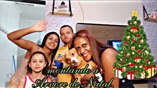 Montando a Árvore de Natal!!!