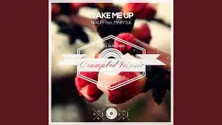 Wake Me Up (Original Mix)