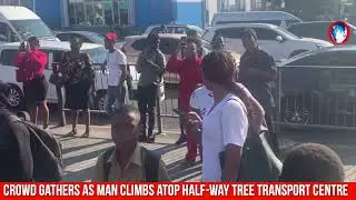 Crowd gathers as man climbs atop Half-Way Tree Transport Centre