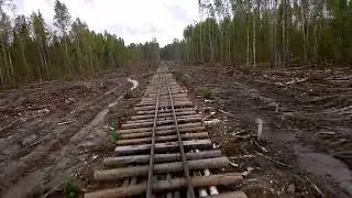 УЖД