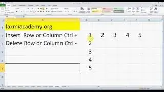 Excel: Shortcut key to insert and delete row