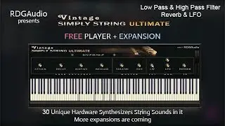 Vintage Simply String Ultimate AU VST FREE Player + Expansion RDGAudio