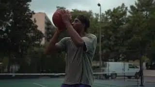 The 