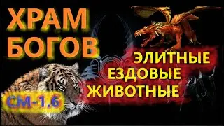 Sacred 2, Элитные Ездовые Животные из Храма Богов, где искать, CM-1.6