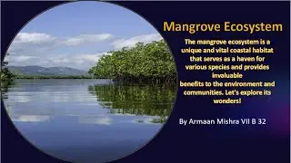 Mangrove Ecosystem PPT For Class 6-8 I By Armaan Mishra I Amazing Armaan Mishra