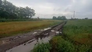 где дороги