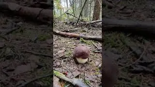 4 сентября 2021 г.