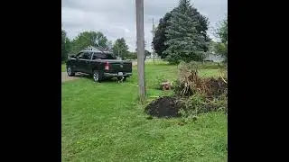 Dodge 1500 vs Tree Stump 💪#mopar #dodge #tree