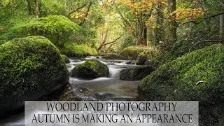 Polariser filters, Are they necessary for Autumn photography