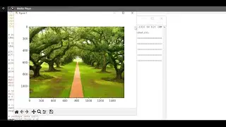 K means clustering-based image segmentation using OpenCV and python 