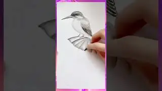 The Best Drawing expert drawing skill